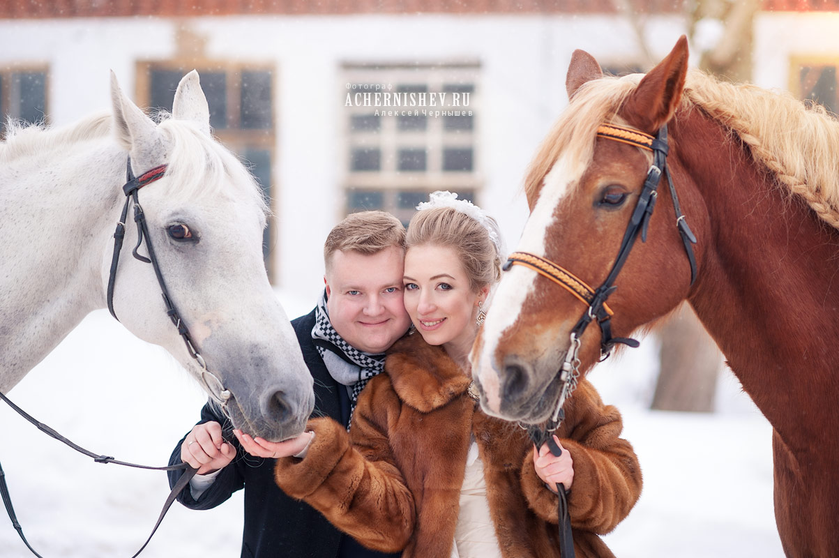 Фотосессия на лошадях зимой