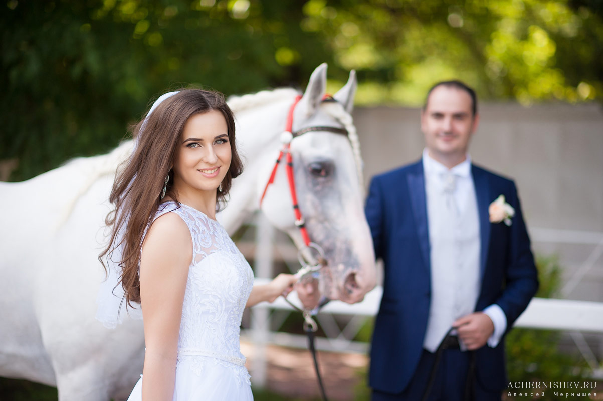 невеста с лошадью