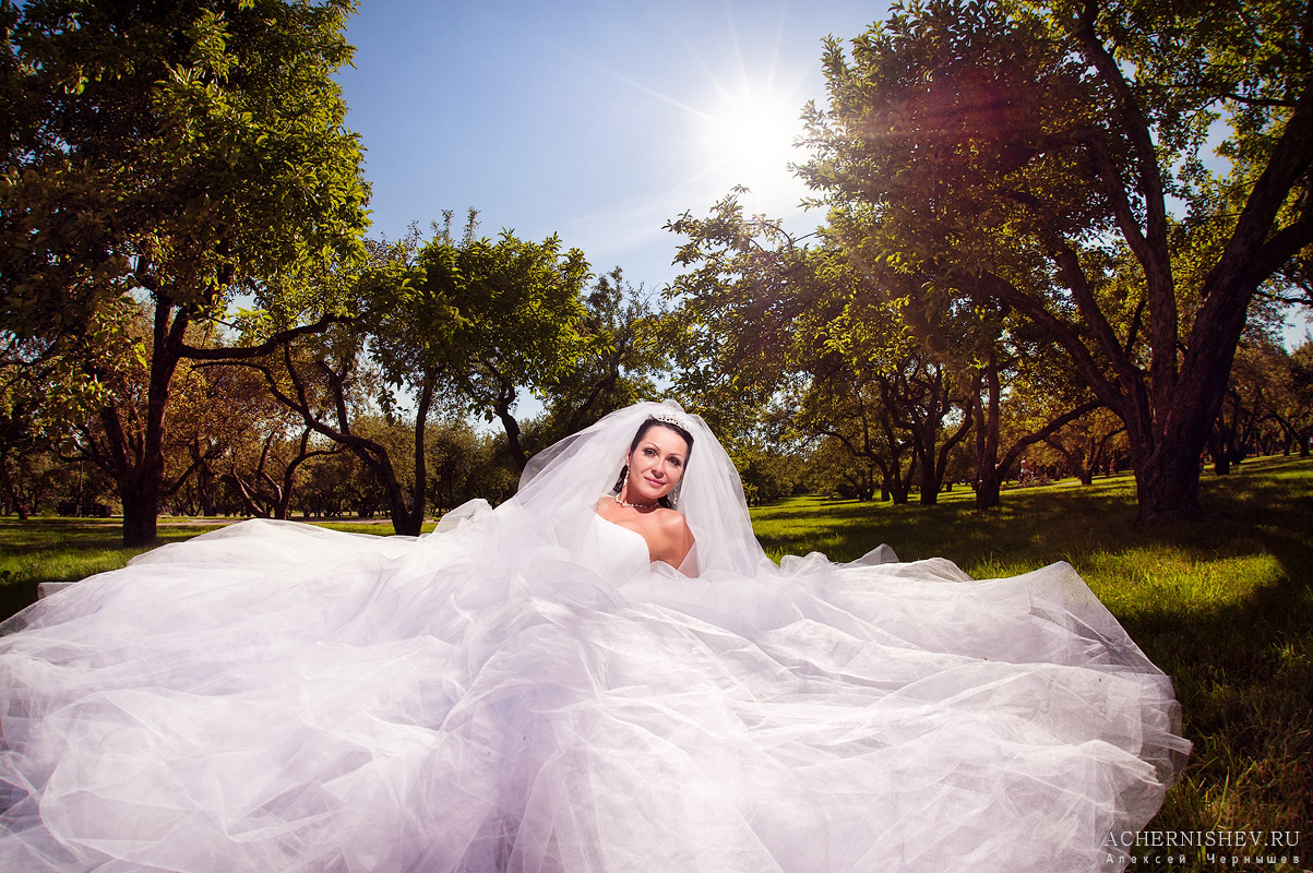 фото невеста в пышном платье