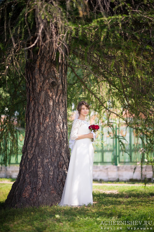 невеста под деревом