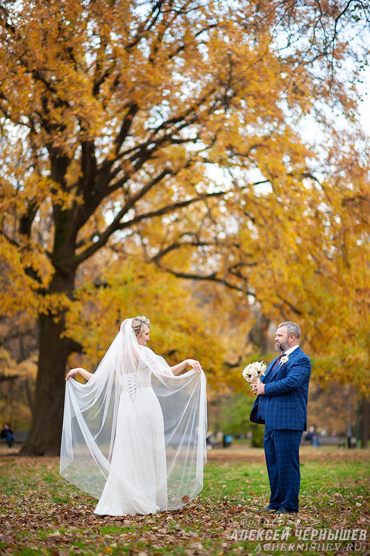 Свадьба в Воронцовском парке фото