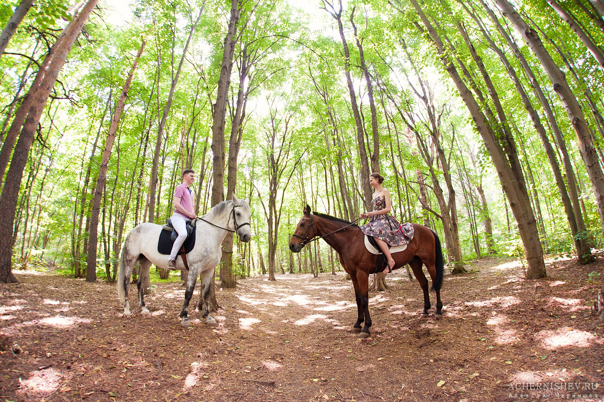 лошади для фотосессии в парке Кузьминки