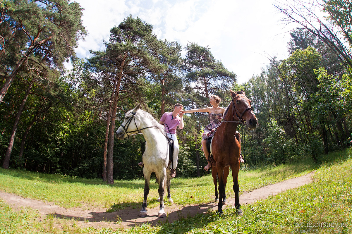 лошади для фотосессии в парке Кузьминки