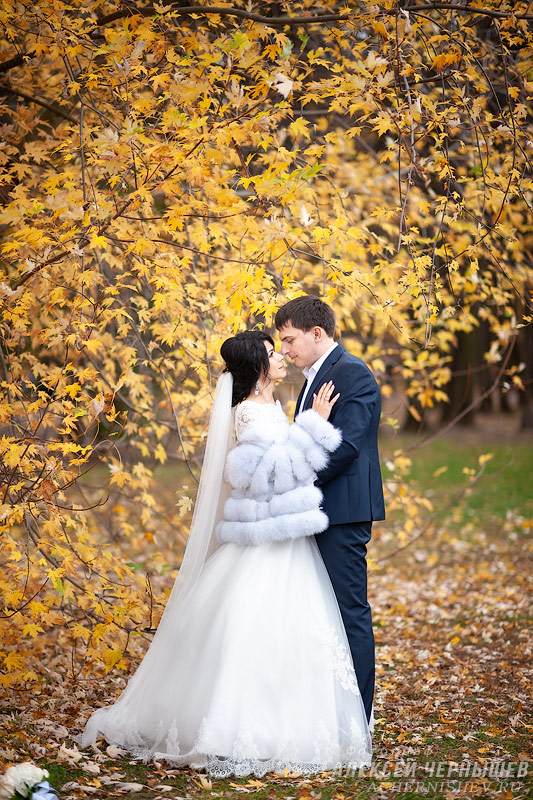 жених и невеста на фоне оранжевого клена