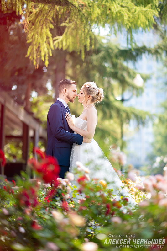 Свадебная фотосессия в Нескучном саду — фото жениха и невесты